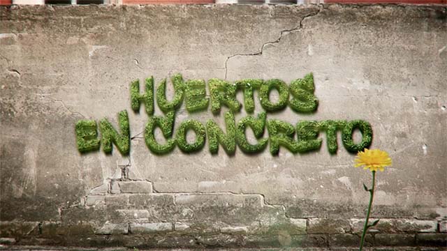 Documental Huertos en concreto, edición Alo Briones