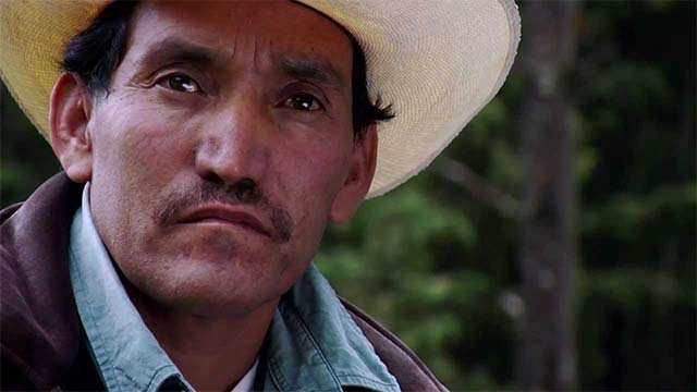 Documental Greenpeace y NatGeo presentan: La Revolución Forestal, edición Alo Briones
